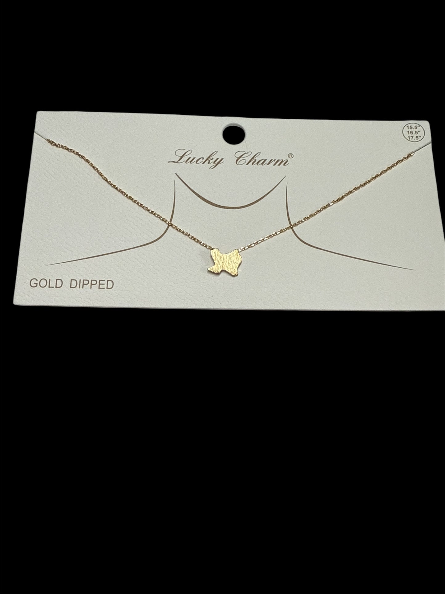 Texas Gold Dipped Necklace