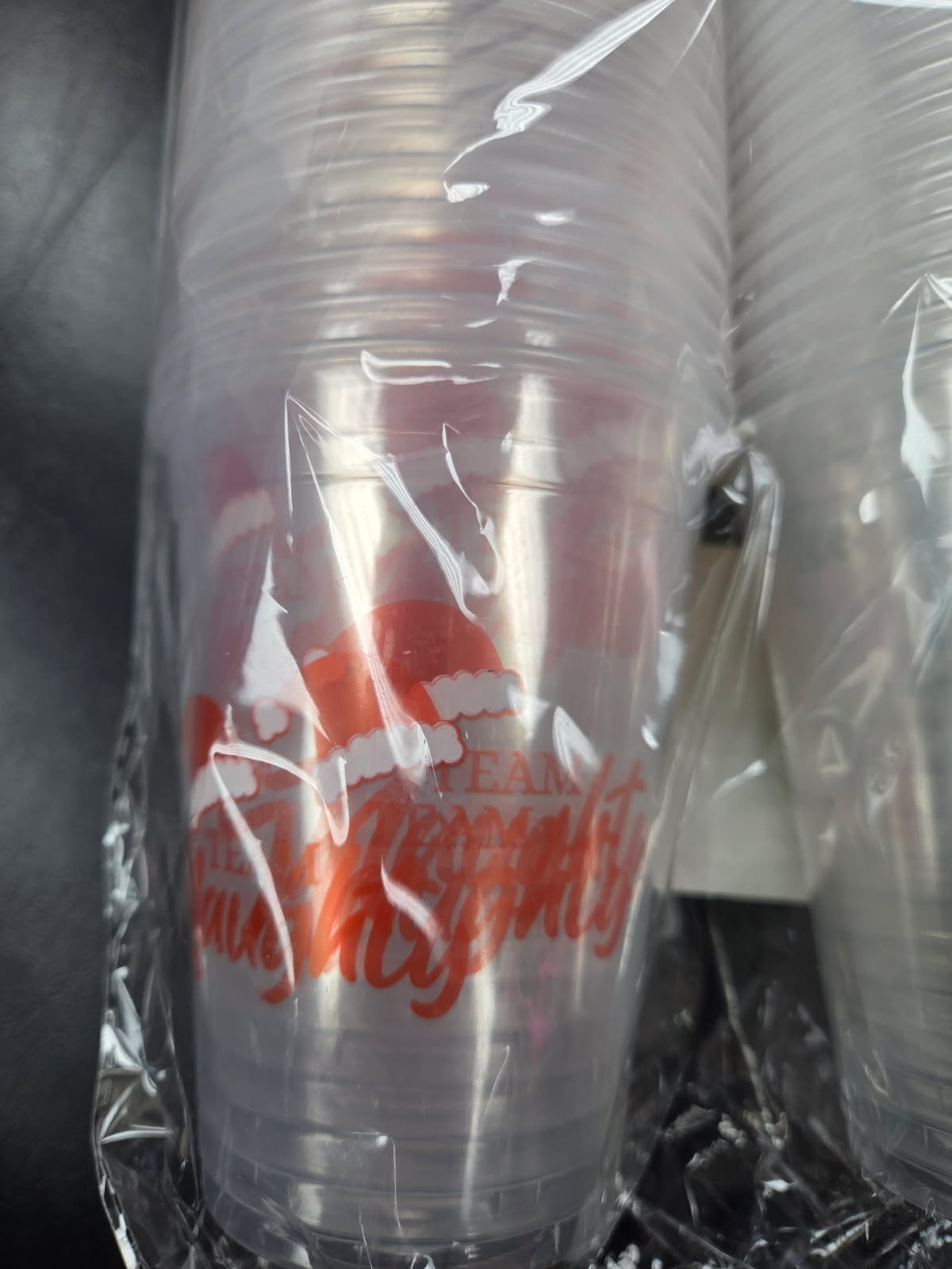 Christmas team naughty and nice plastic cups