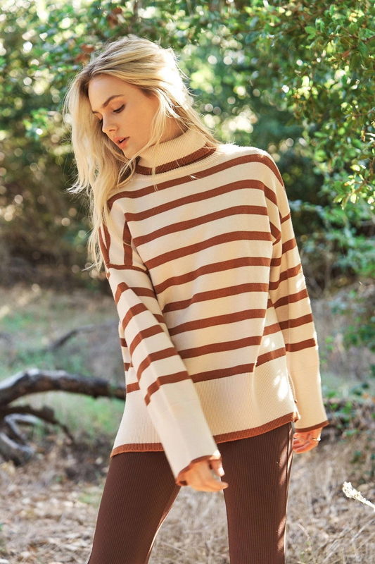 Turtle Neck Oversize Stripe Knit Sweater Top