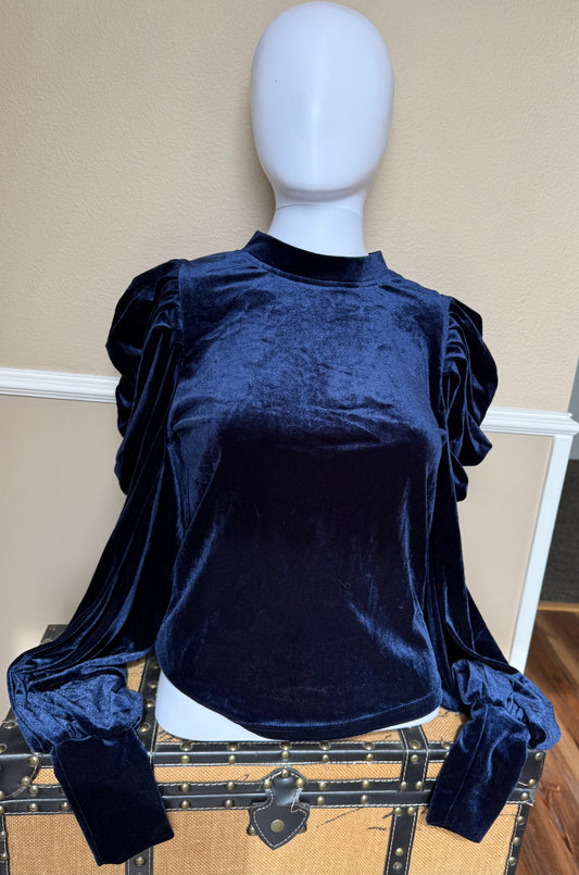 Velvet Puff Sleeve Top