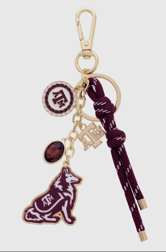 Collegiate Cluster Bag Charm