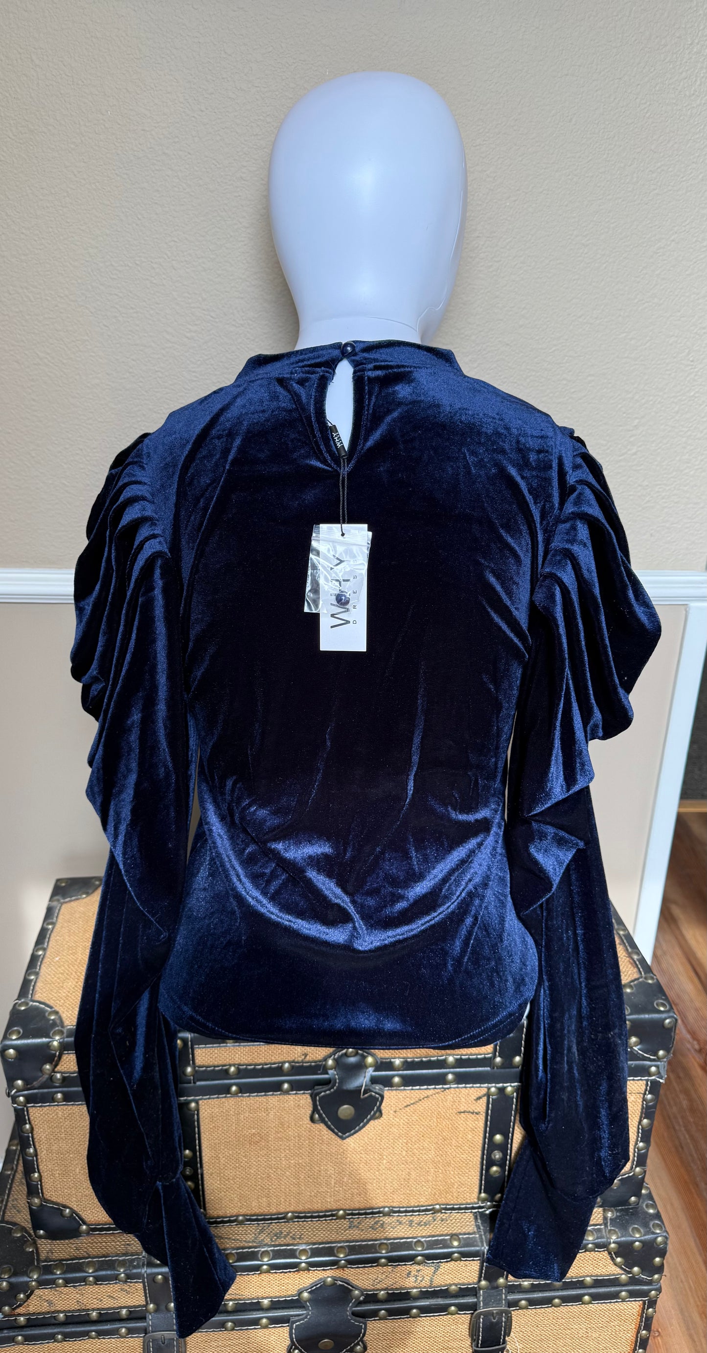 Velvet Puff Sleeve Top